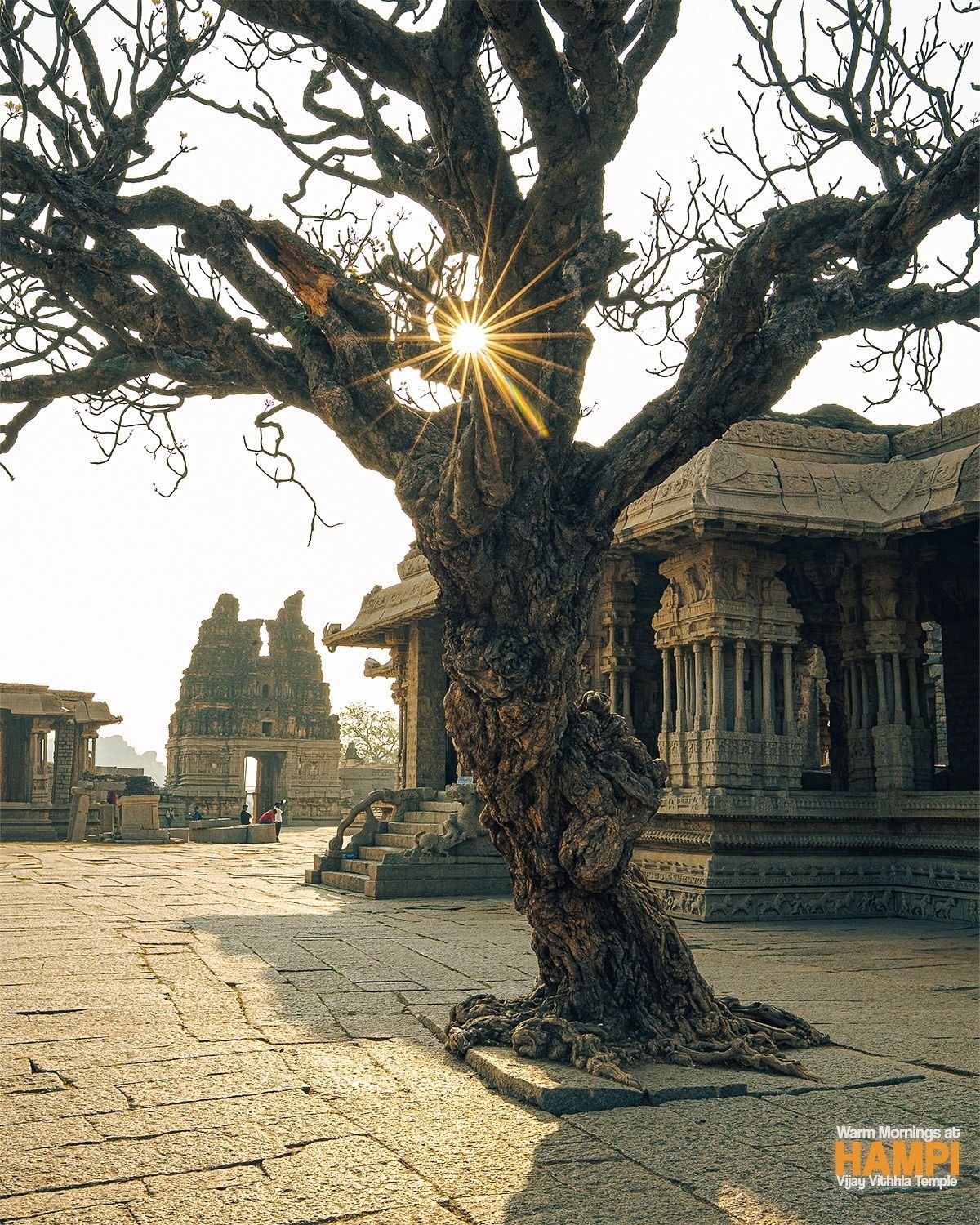 d842d39ec159d15ab6d039667268240a